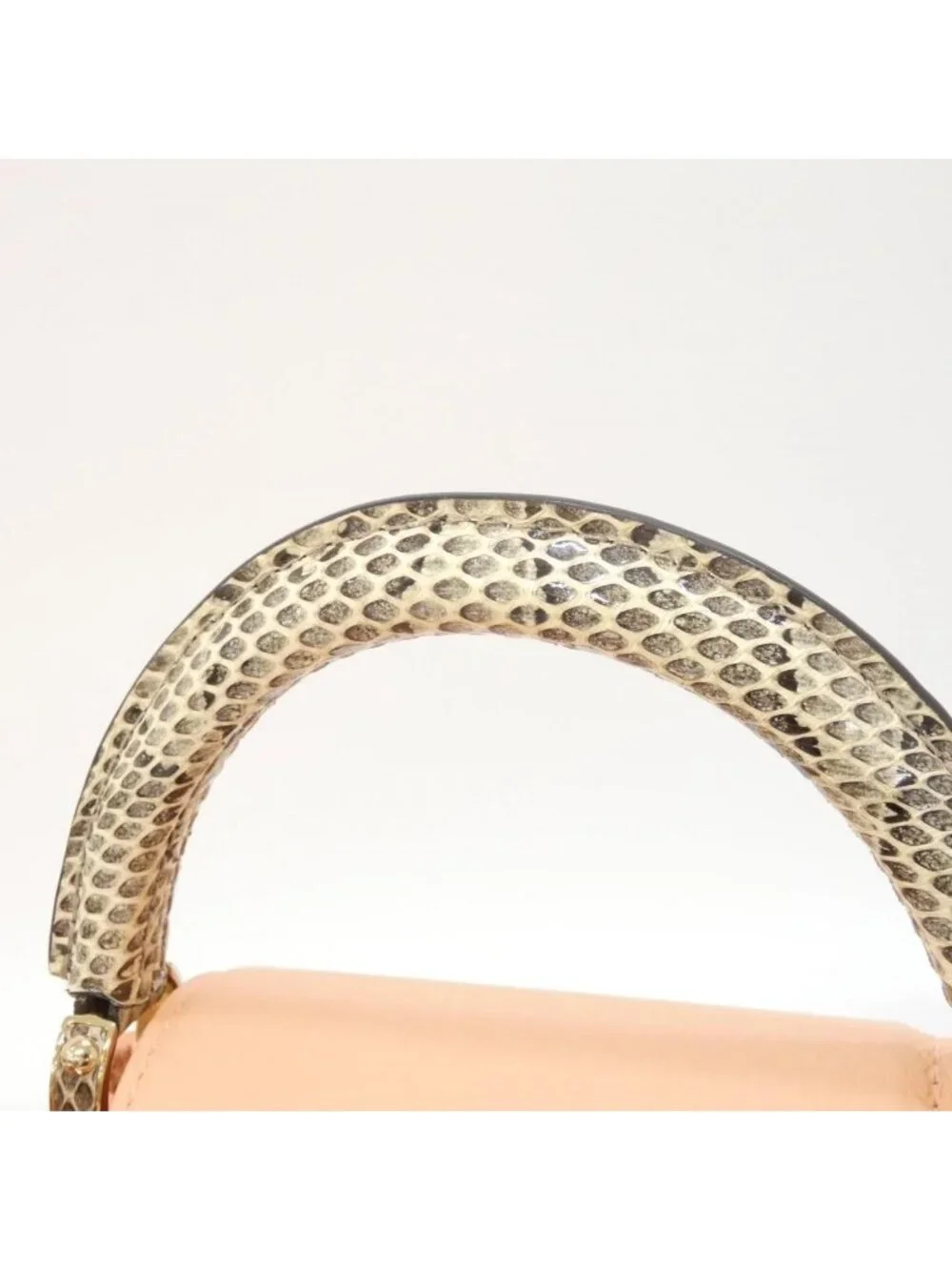 Louis Vuitton Exotic Leather Capucines Mini
